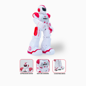Remote Control RC Robot Toy for Kids,Intellectual Gesture Sensor Robots with Infrared Controller, Rechargeable,Early Education Toys,Speak,Dance,Sing,Walk,Slide