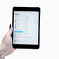 Apple iPad Mini 4 (16 GB) – 7.9" Display | Pre-Owned | Great Condition | Slim &amp; Light Weight