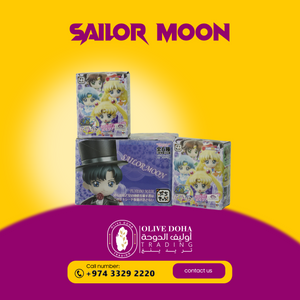 PETIT CHARA SERIES SAILOR MOON: PUCHI TO OSHIOKIYO (SET OF 6 PIECES)